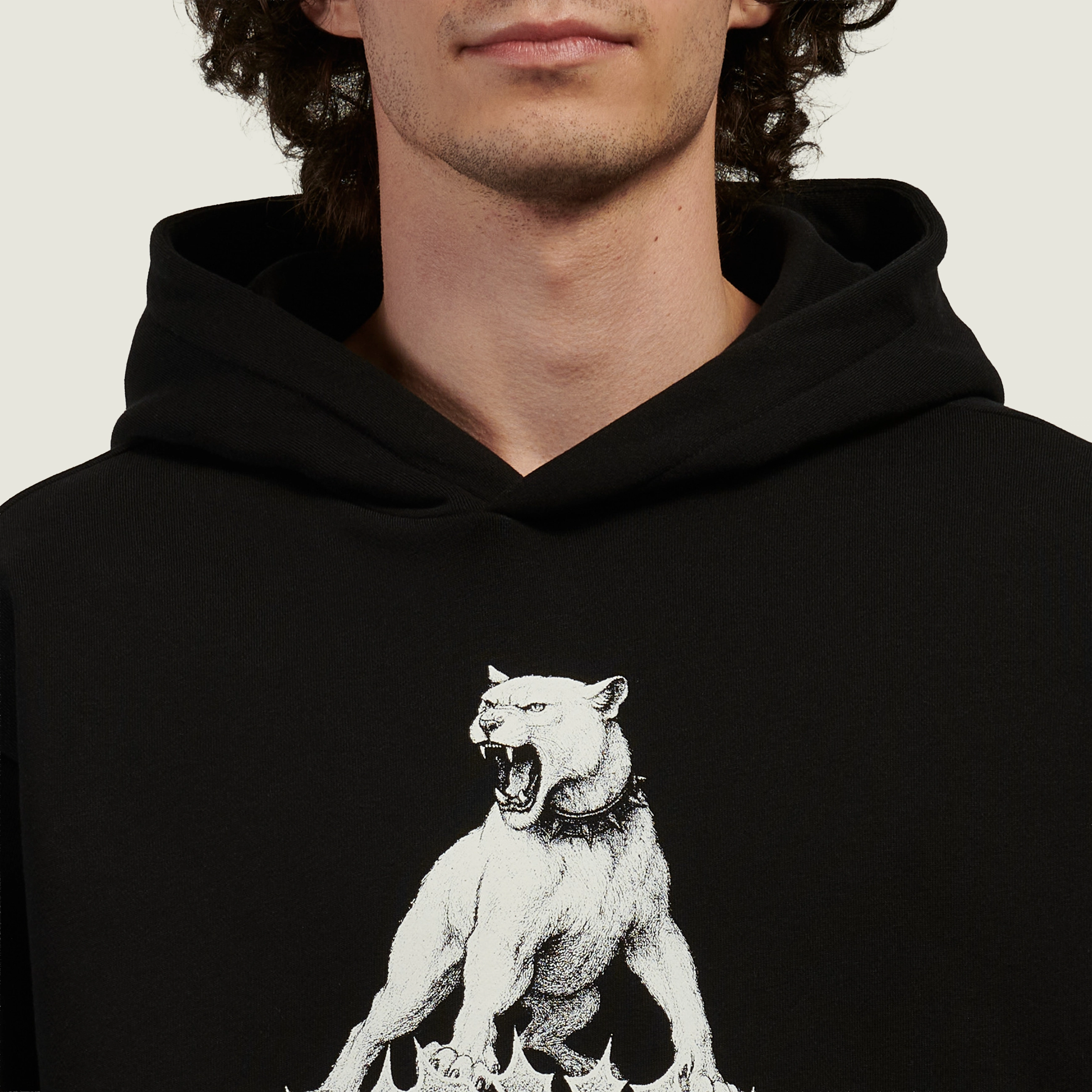 レディアント Мужская толстовка RIPNDIP Wasteland Hoodie, RNDSPR26129