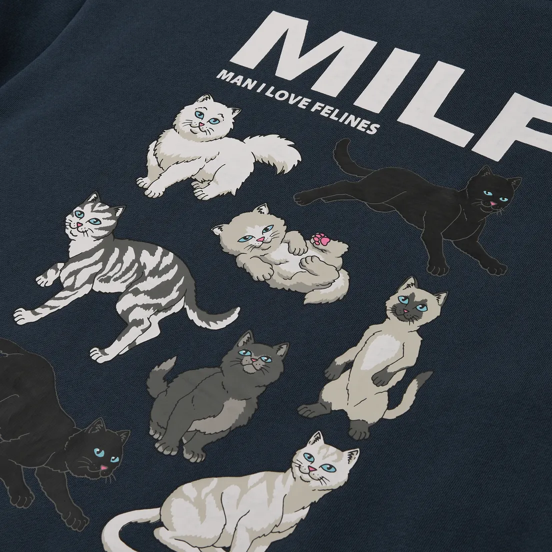 RIPNDIP Мужская толстовка Man I Love Felines Hoodie
