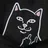 RIPNDIP