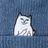 RIPNDIP