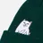 RIPNDIP