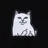 RIPNDIP