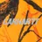 Carhartt WIP