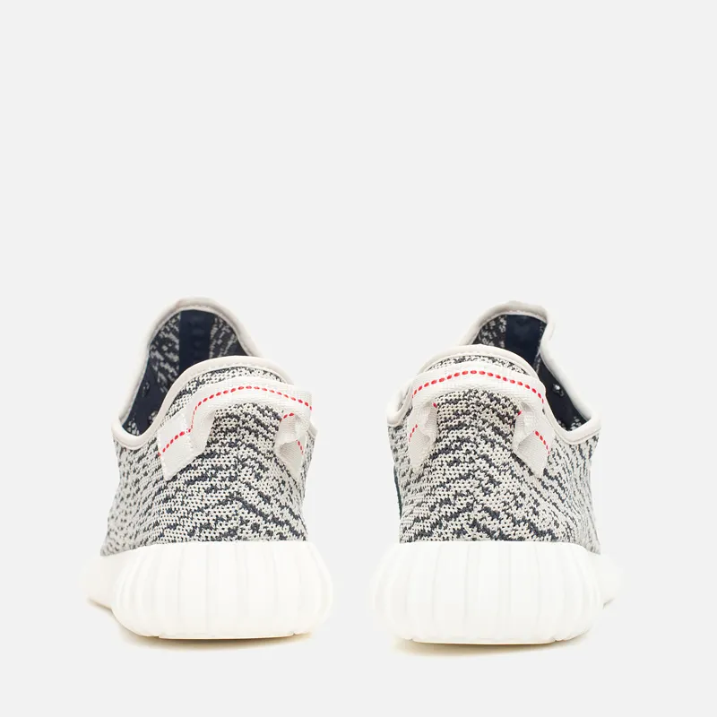 adidas Originals Кроссовки YEEZY 350 Boost