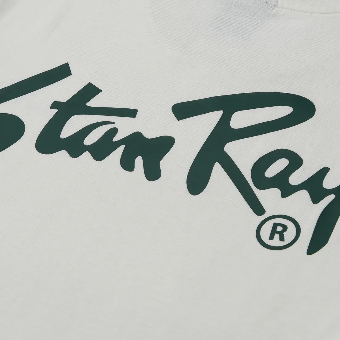 Stan Ray Мужская футболка Stan