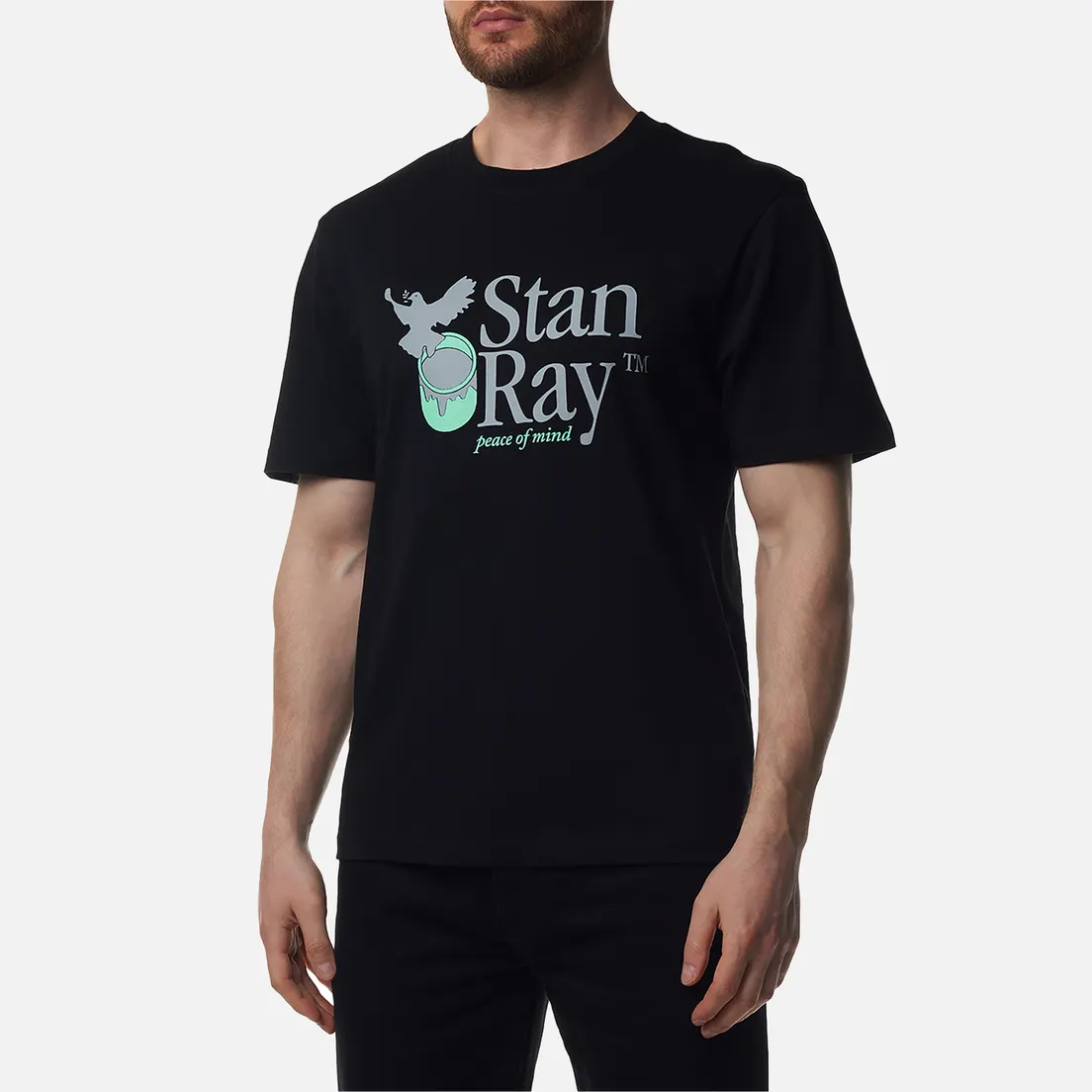 Stan Ray Мужская футболка Peace Of Mind