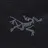 Arcteryx
