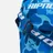 RIPNDIP
