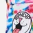 RIPNDIP