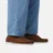 Aigle