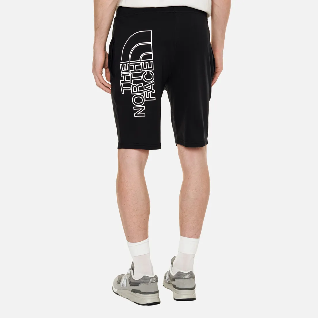 The North Face Мужские шорты Graphic Light