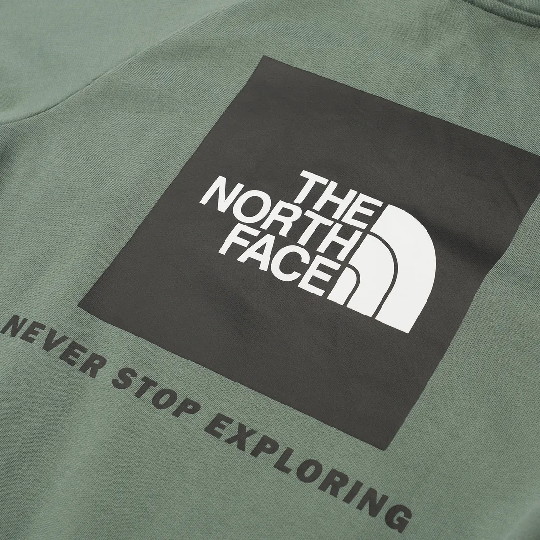 The North Face Мужская толстовка Raglan Red Box Hoodie