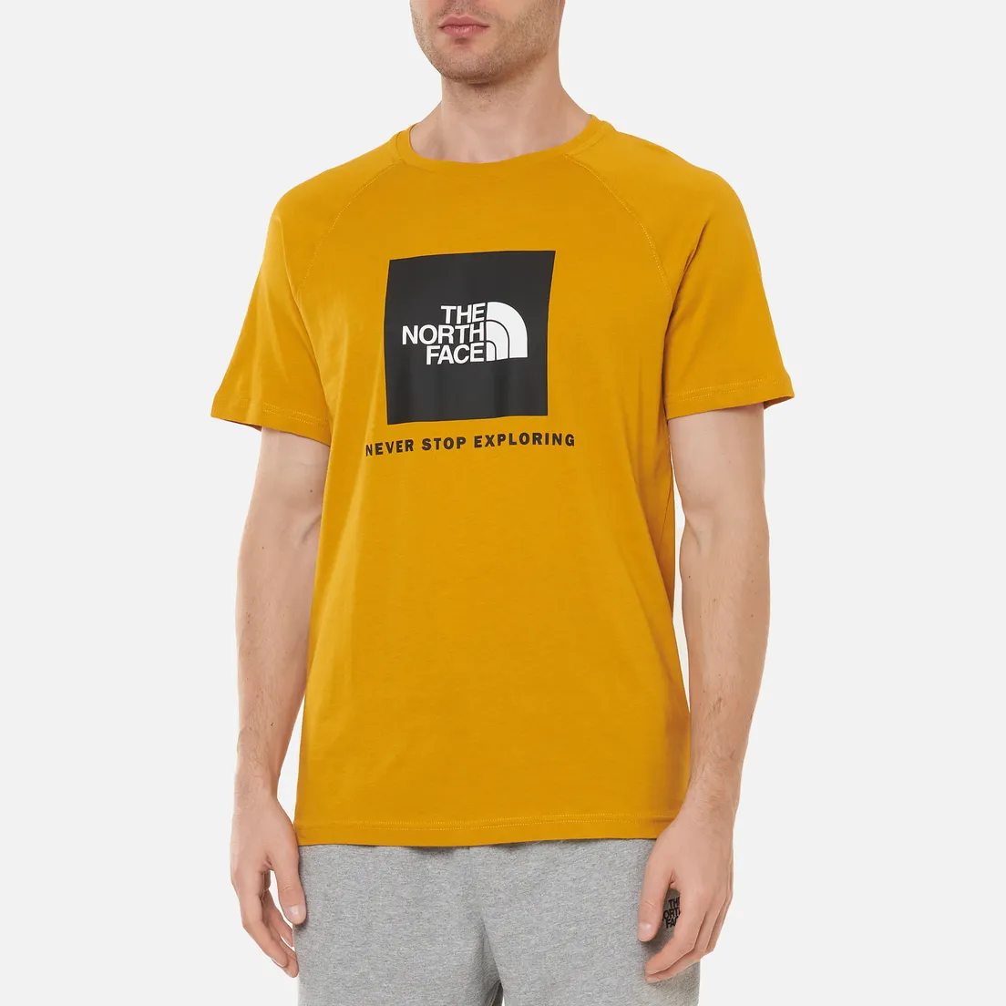 The North Face Мужская футболка Rag Red Box