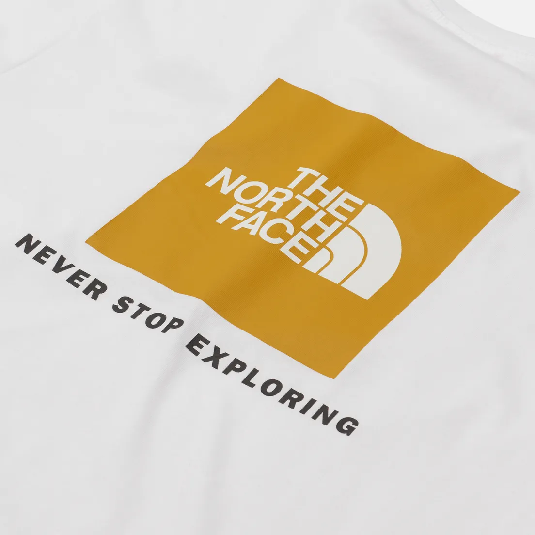 The North Face Мужской лонгслив Red Box