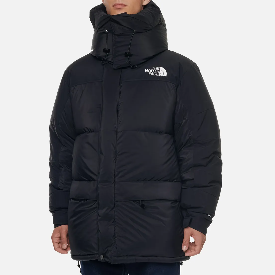 The North Face Мужская куртка парка 1994 Retro Himalayan Futurelight