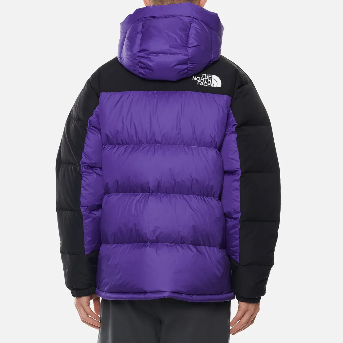 The North Face Мужской пуховик Himalayan Down