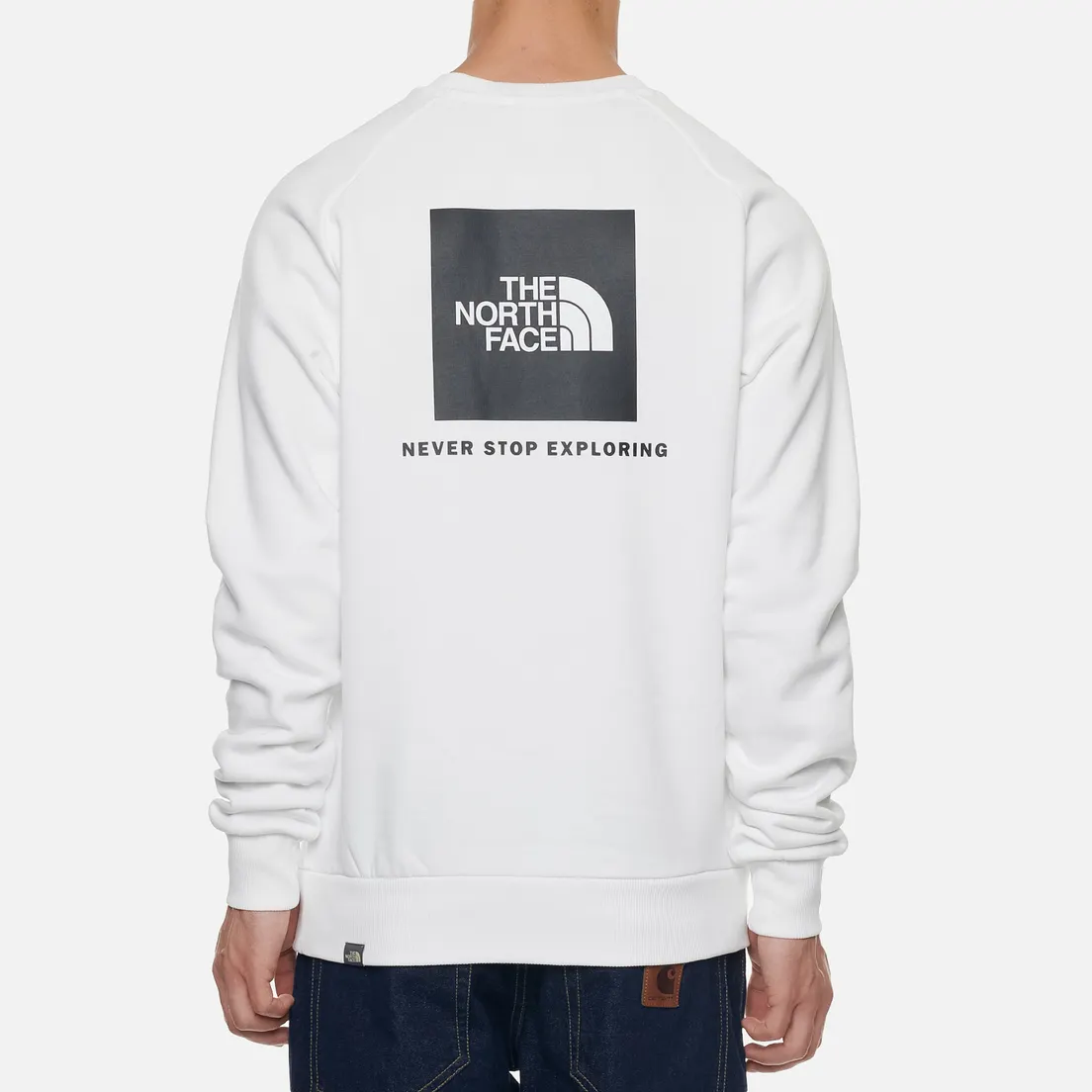 The North Face Мужская толстовка Raglan Redbox Crew