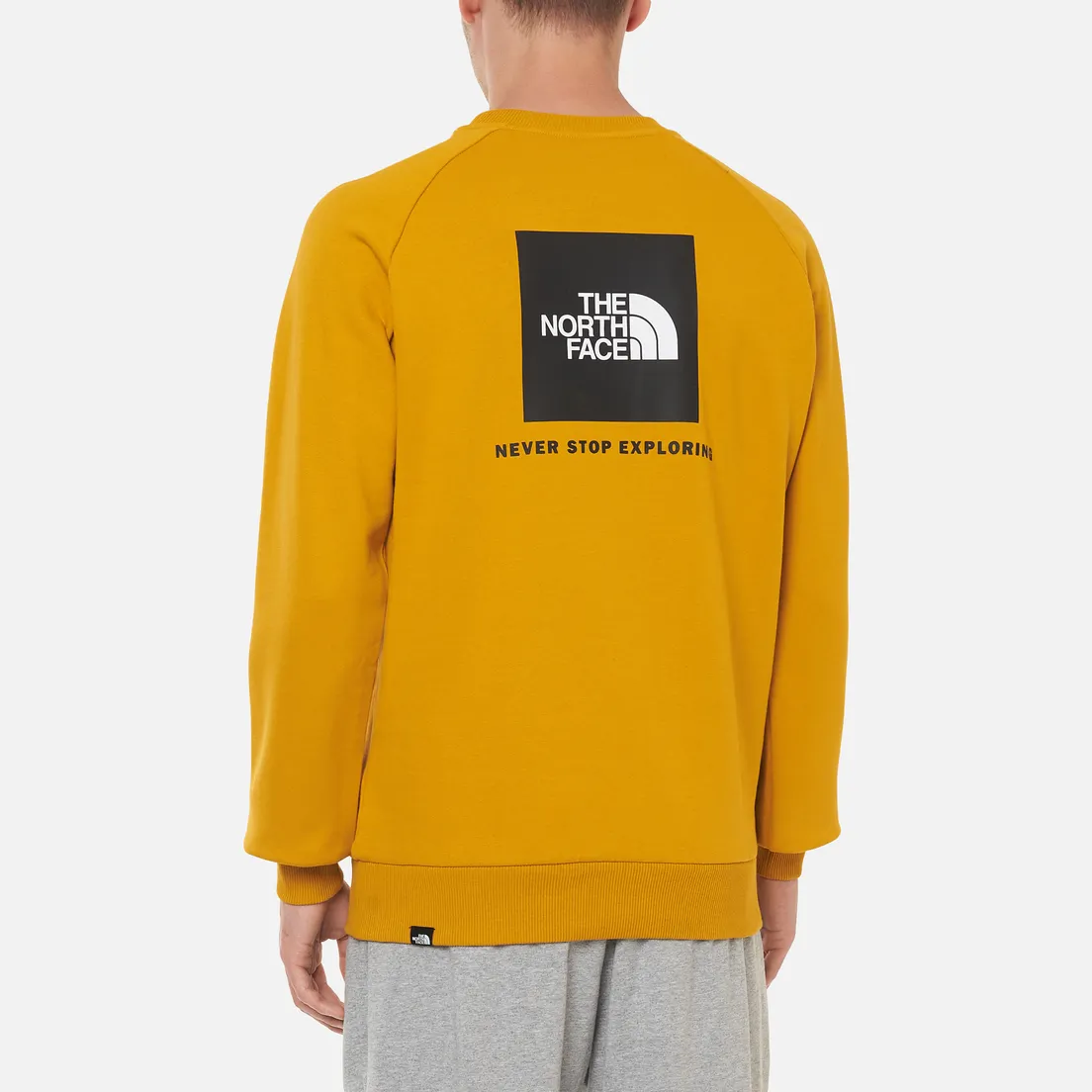 The North Face Мужская толстовка Raglan Redbox Crew