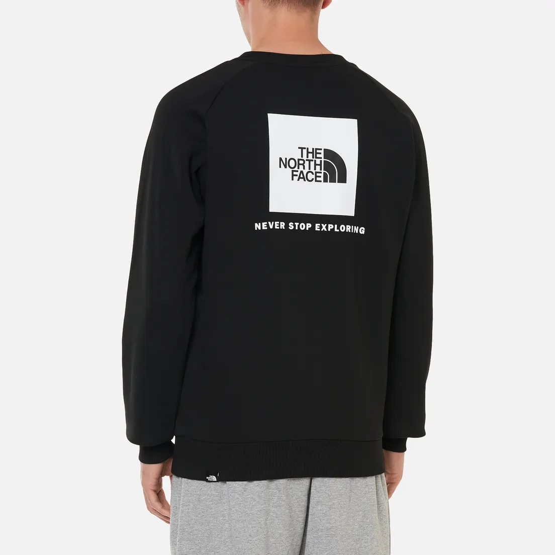 The North Face Мужская толстовка Raglan Redbox Crew