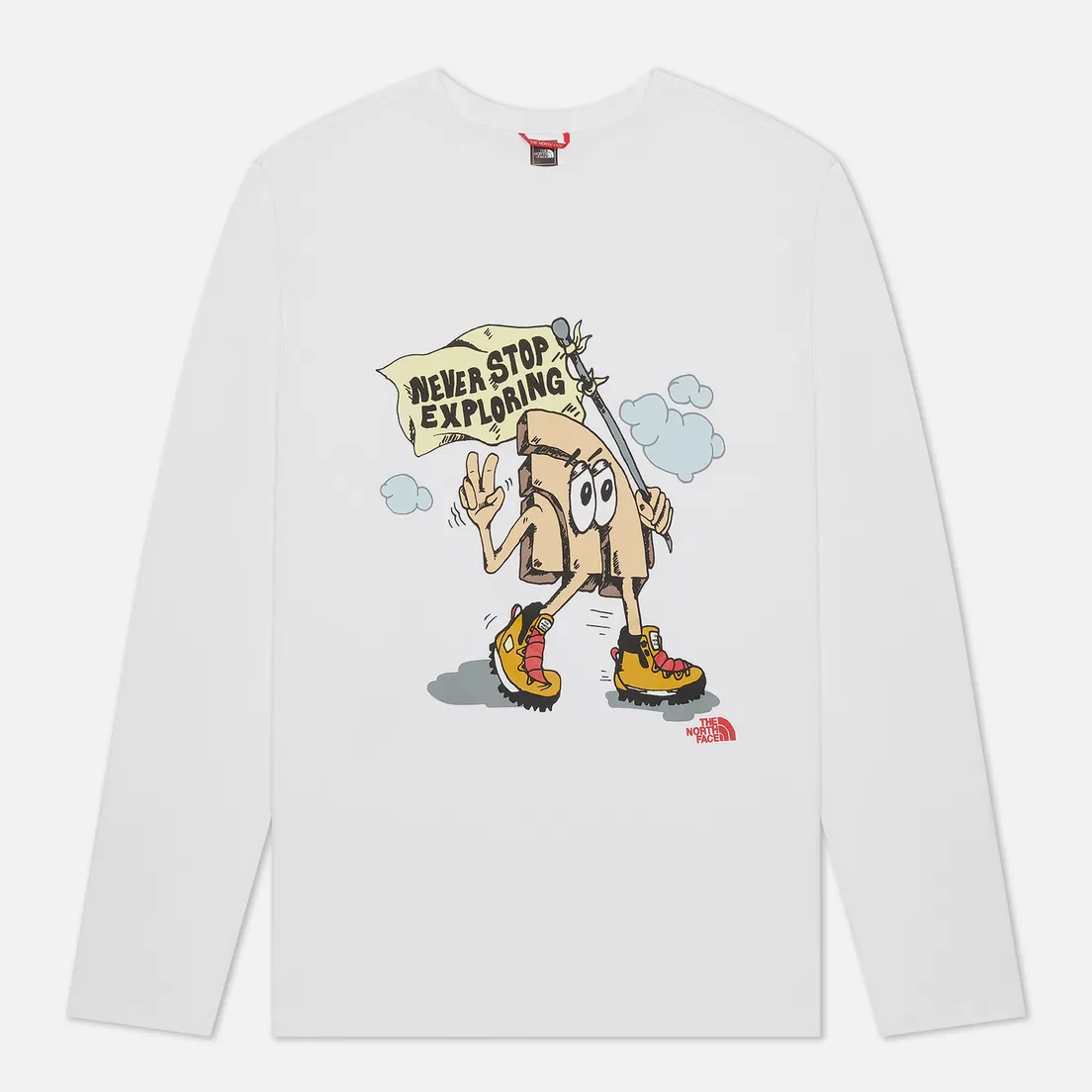 The North Face Мужской лонгслив LS Graphic