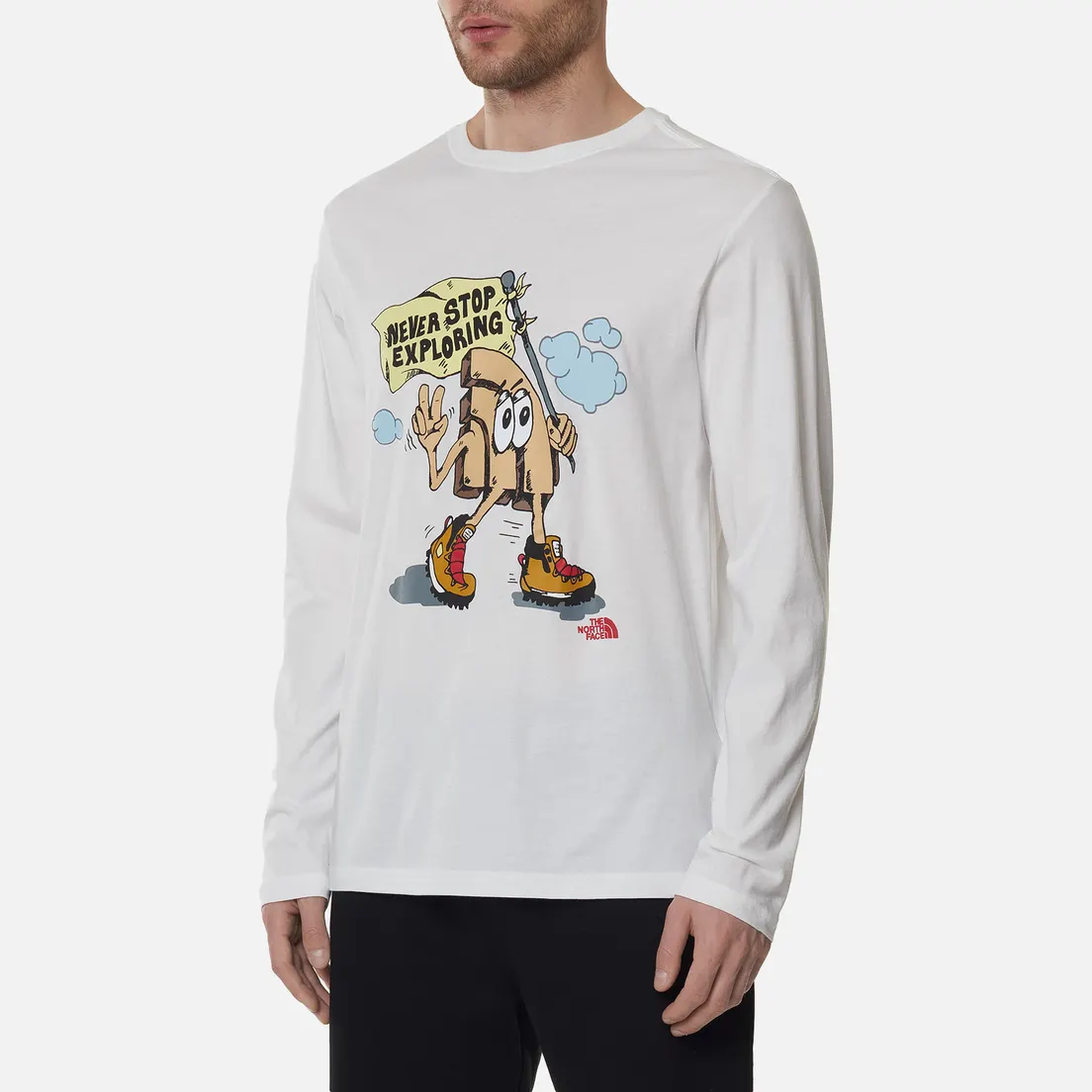The North Face Мужской лонгслив LS Graphic