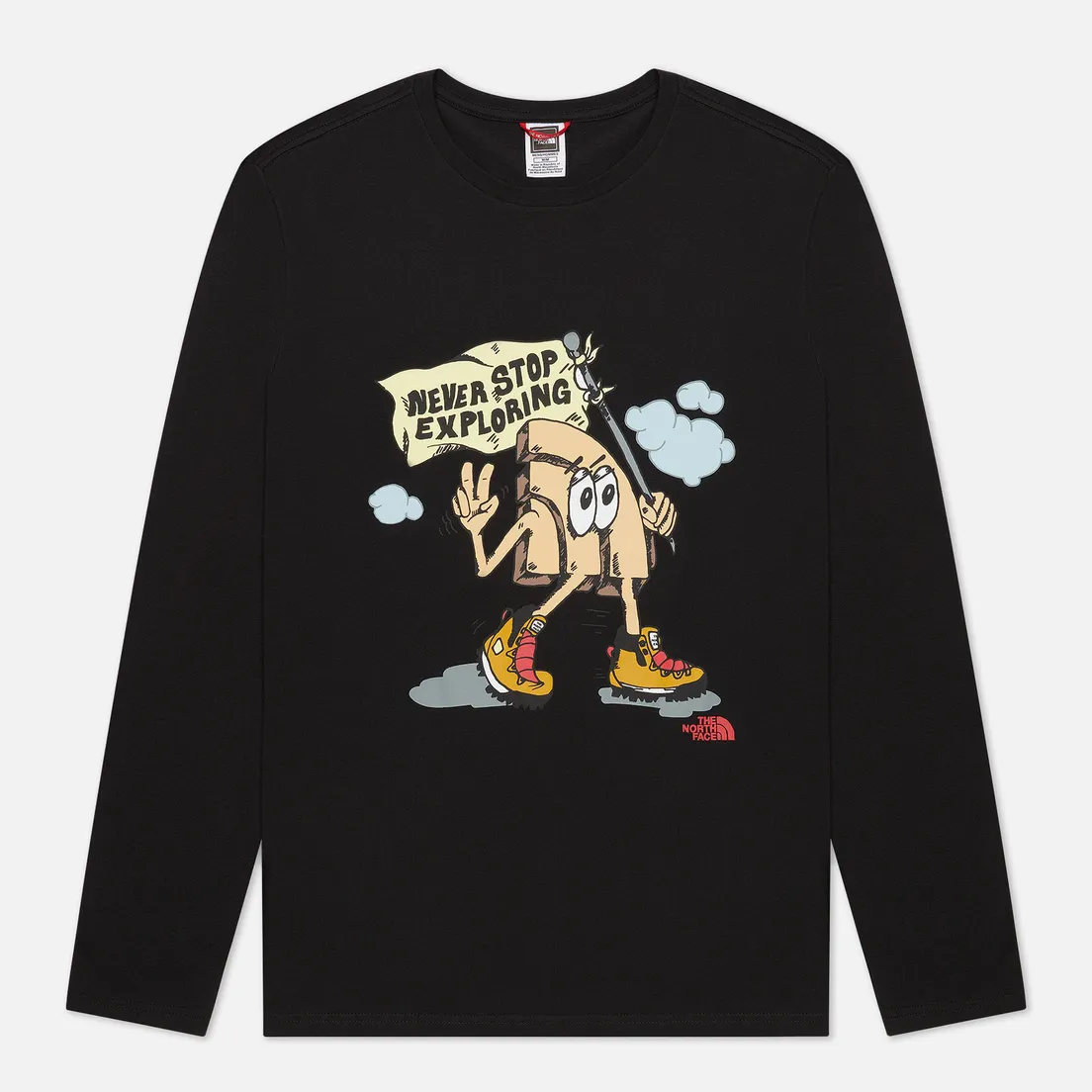 The North Face Мужской лонгслив LS Graphic