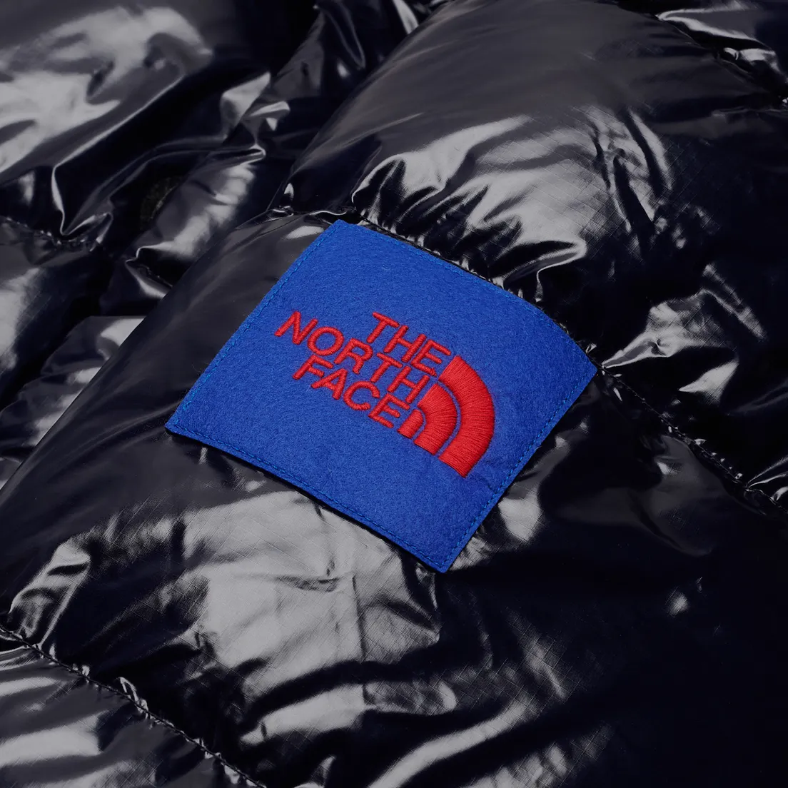 The North Face Мужской пуховик Brown Label Ripstop Down