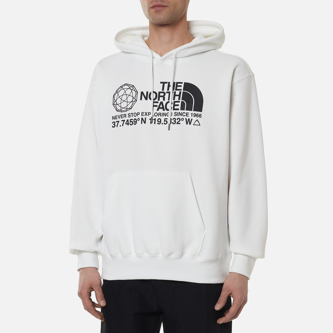 Muzhskaya Tolstovka The North Face Logo Plus Hoodie Ta55mwfn4