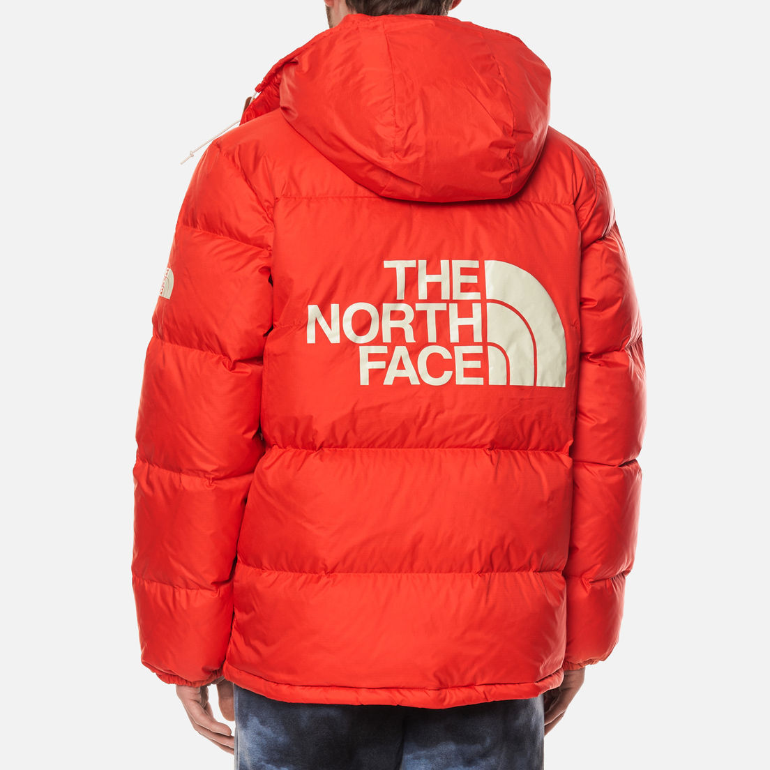 The North Face Мужская куртка парка One Icon Sierra