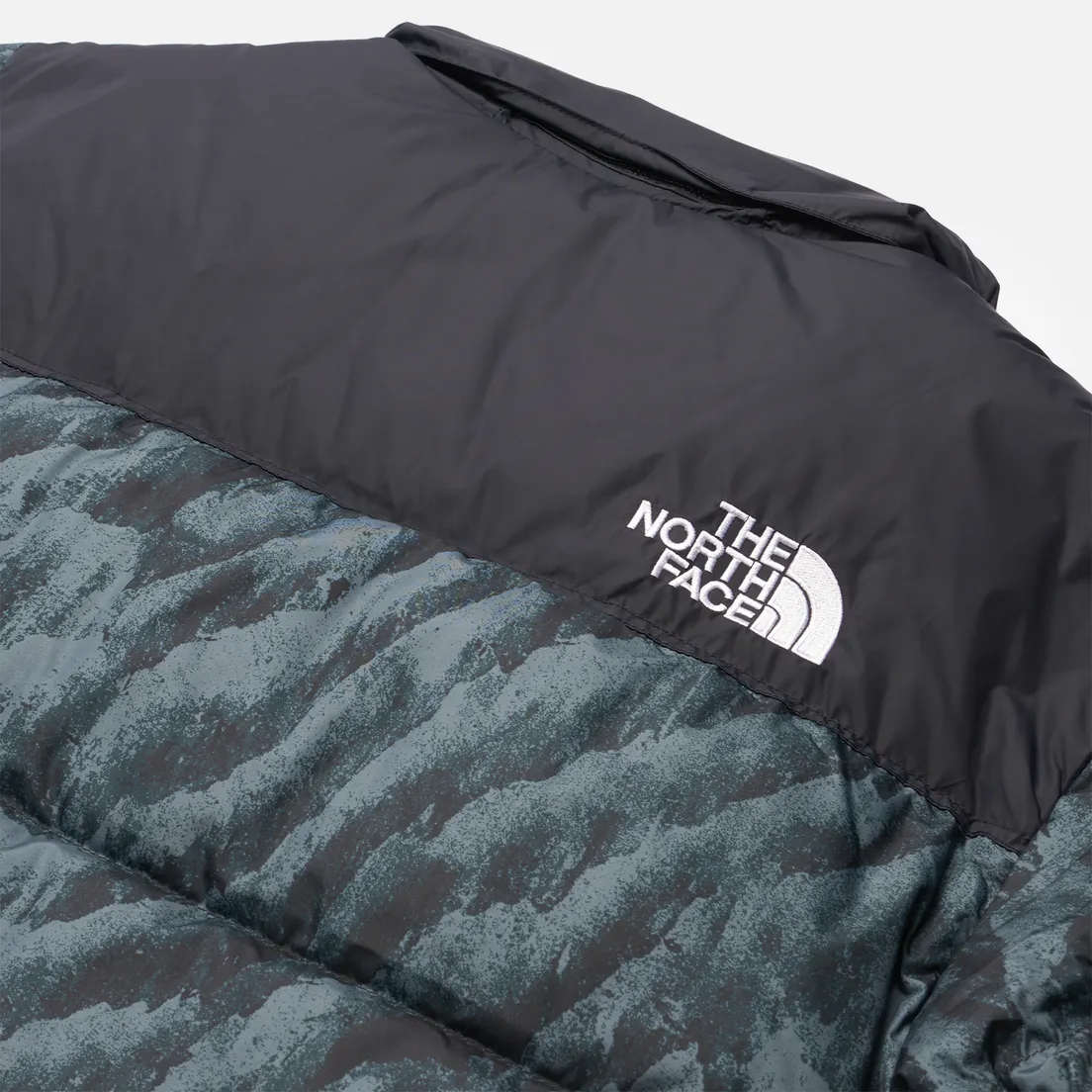 The North Face Мужской пуховик 1996 Retro Nuptse Printed