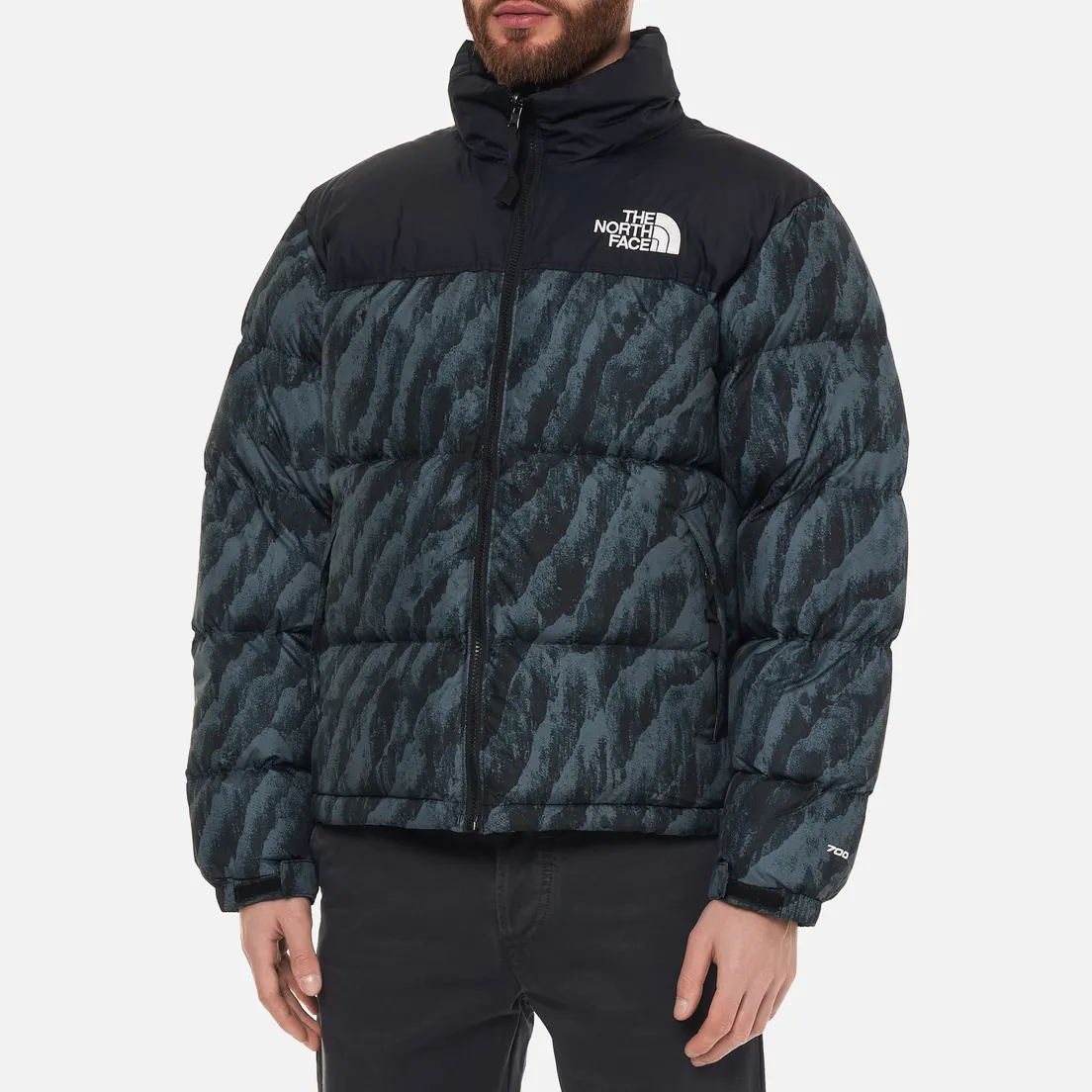 The North Face Мужской пуховик 1996 Retro Nuptse Printed