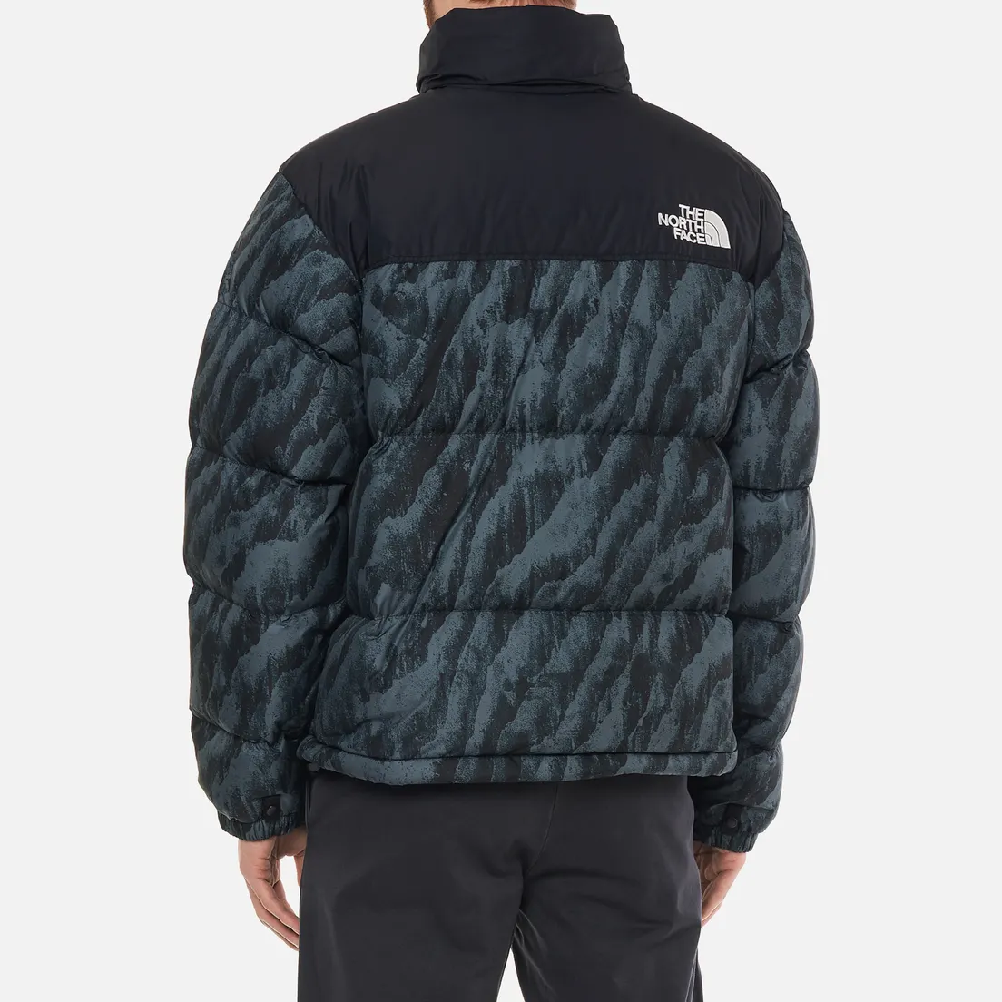 The North Face Мужской пуховик 1996 Retro Nuptse Printed