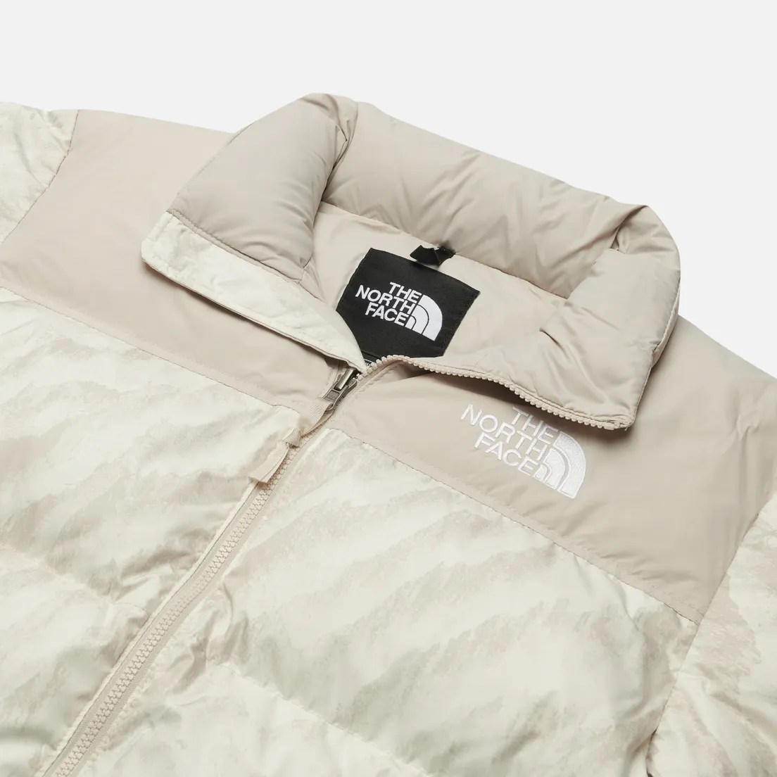 The North Face Мужской пуховик 1996 Retro Nuptse Printed