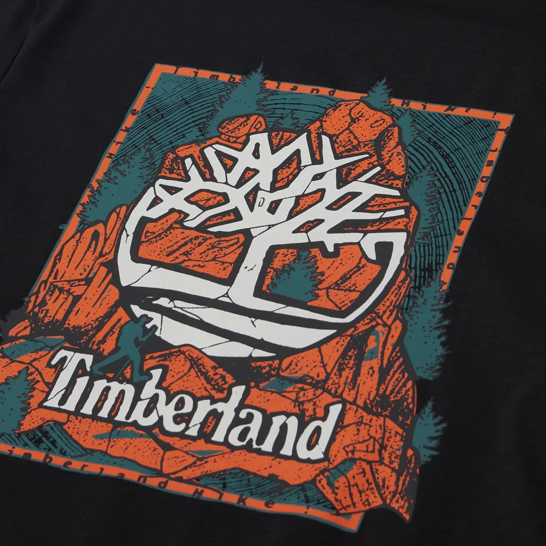 Timberland Мужская футболка Back Graphic