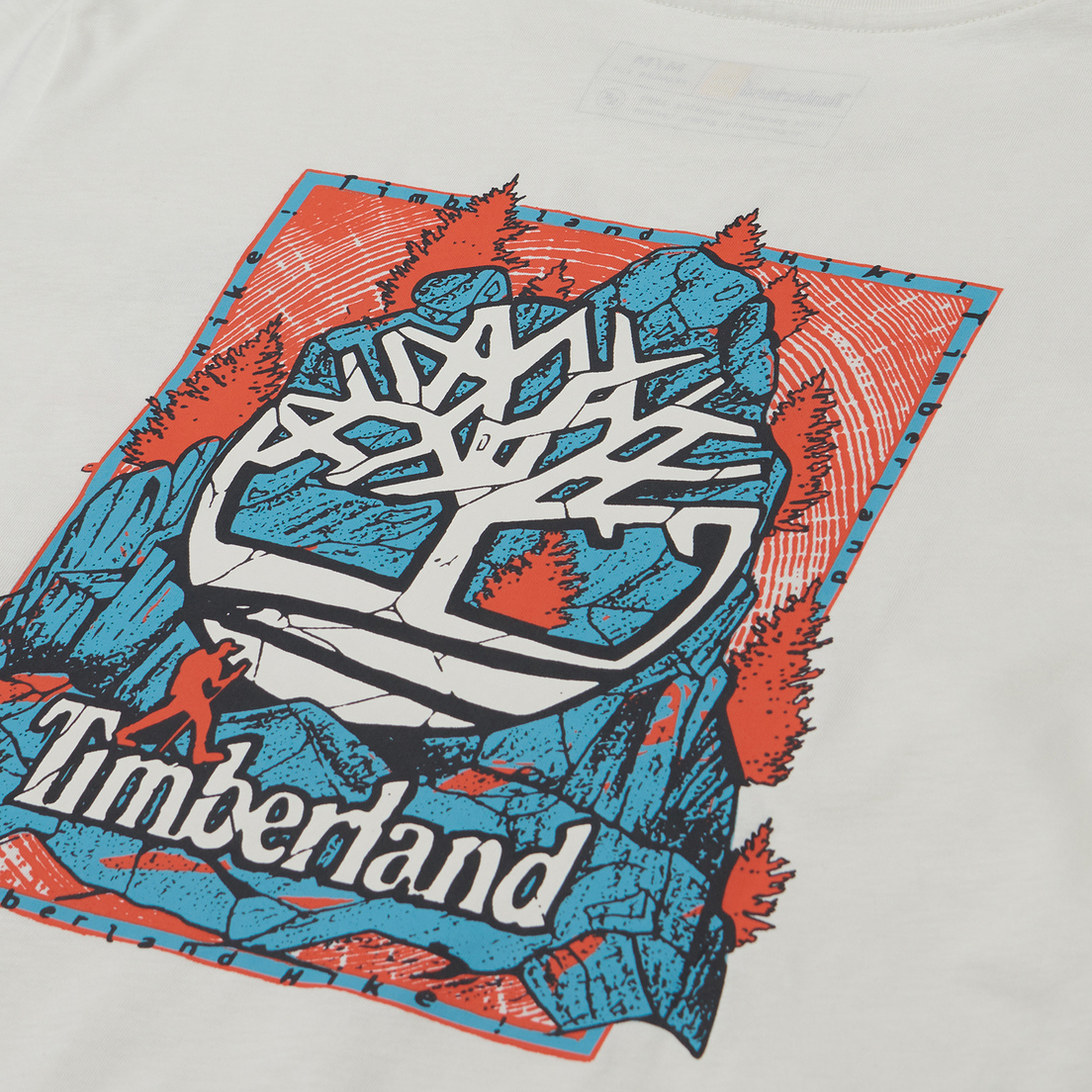 Timberland Мужская футболка Back Graphic