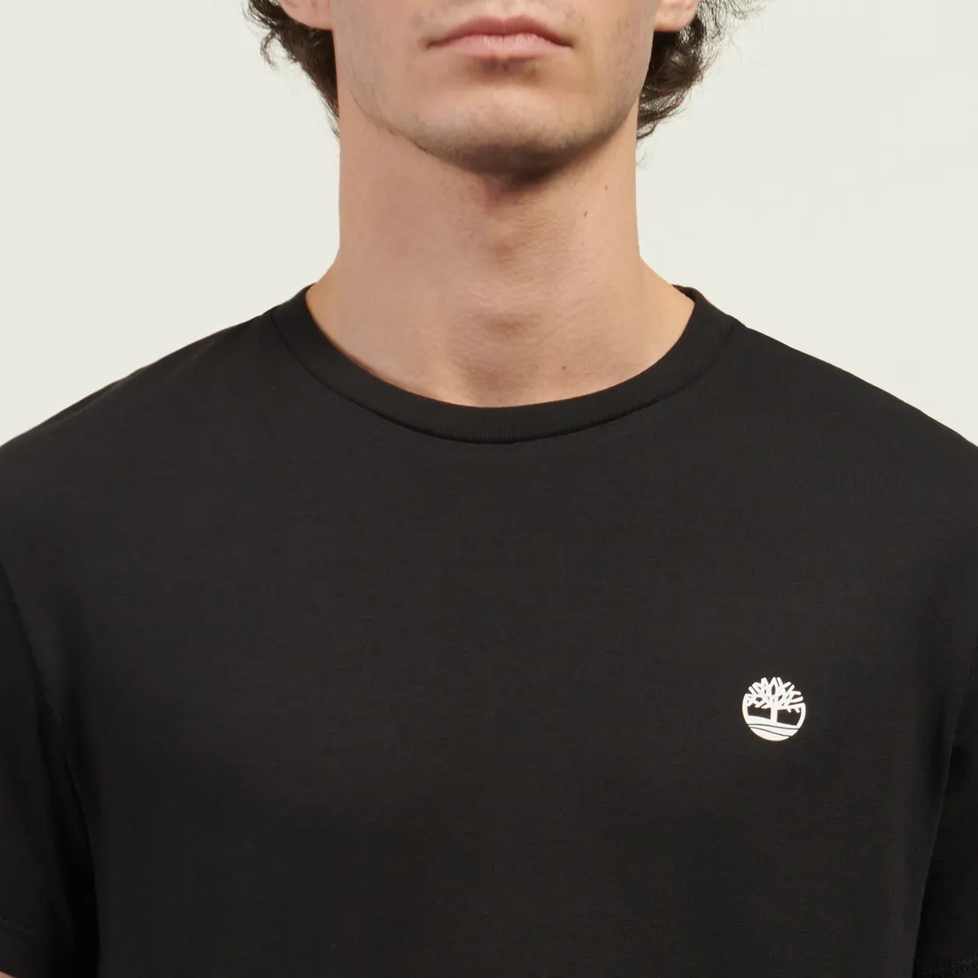 Timberland Комплект мужских футболок Dunstan River 3-Pack