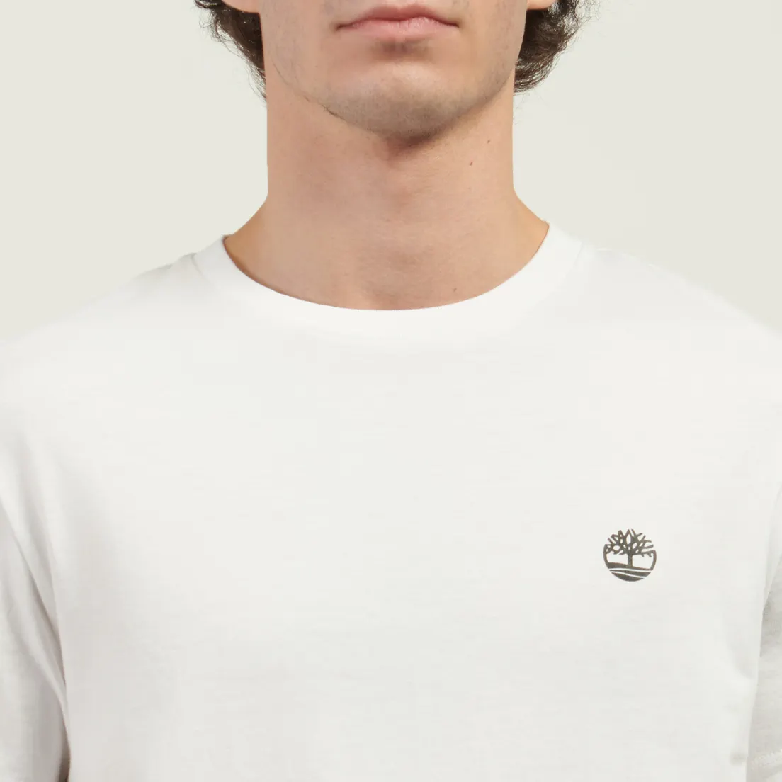 Timberland Комплект мужских футболок Dunstan River 3-Pack