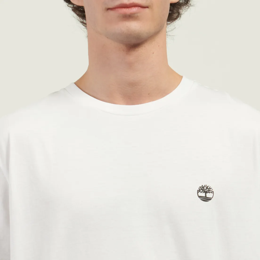 Timberland Комплект мужских футболок Dunstan River 3-Pack