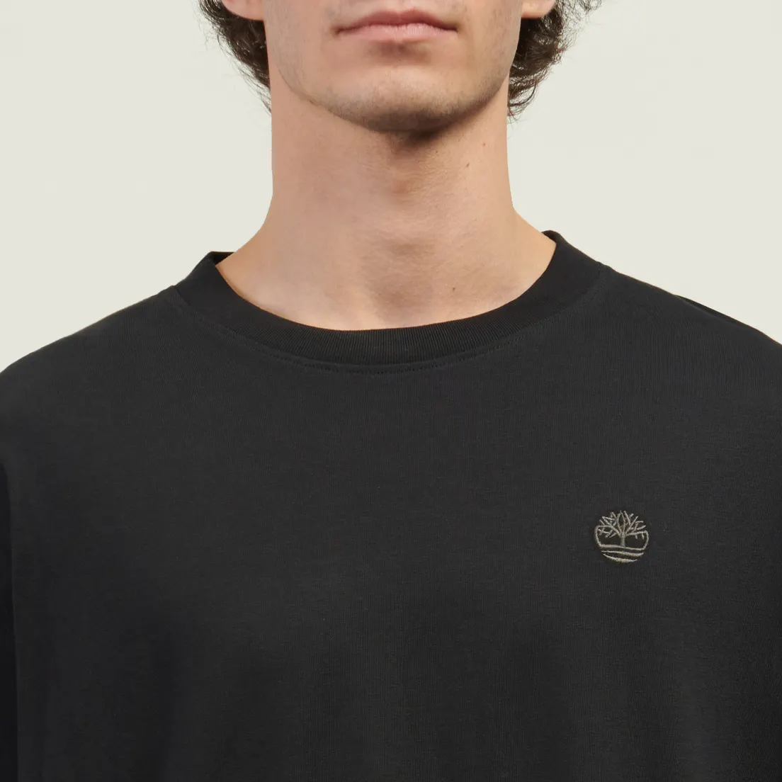 Timberland Мужская футболка Dunstan River Box