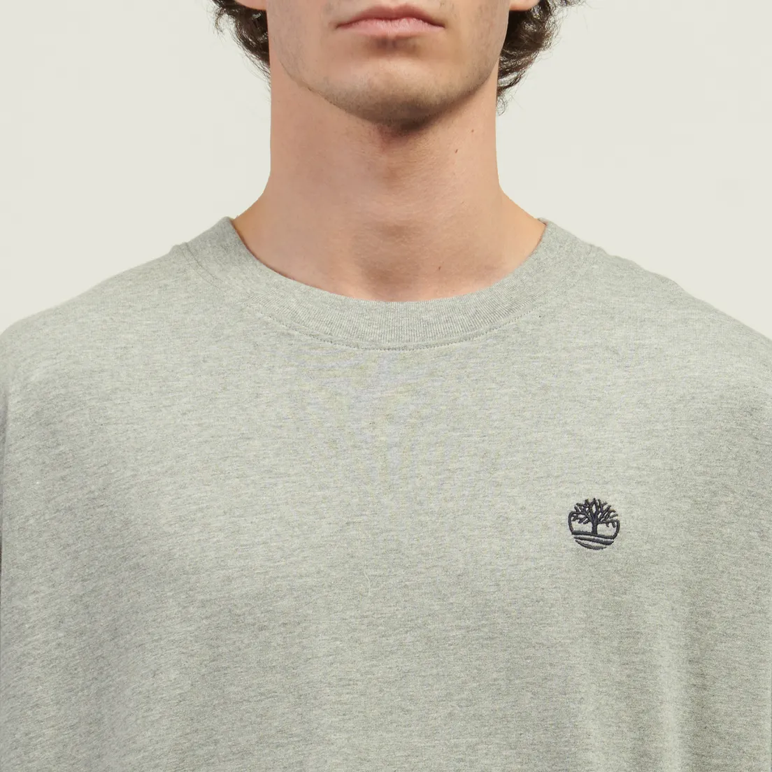 Timberland Мужская футболка Dunstan River Box