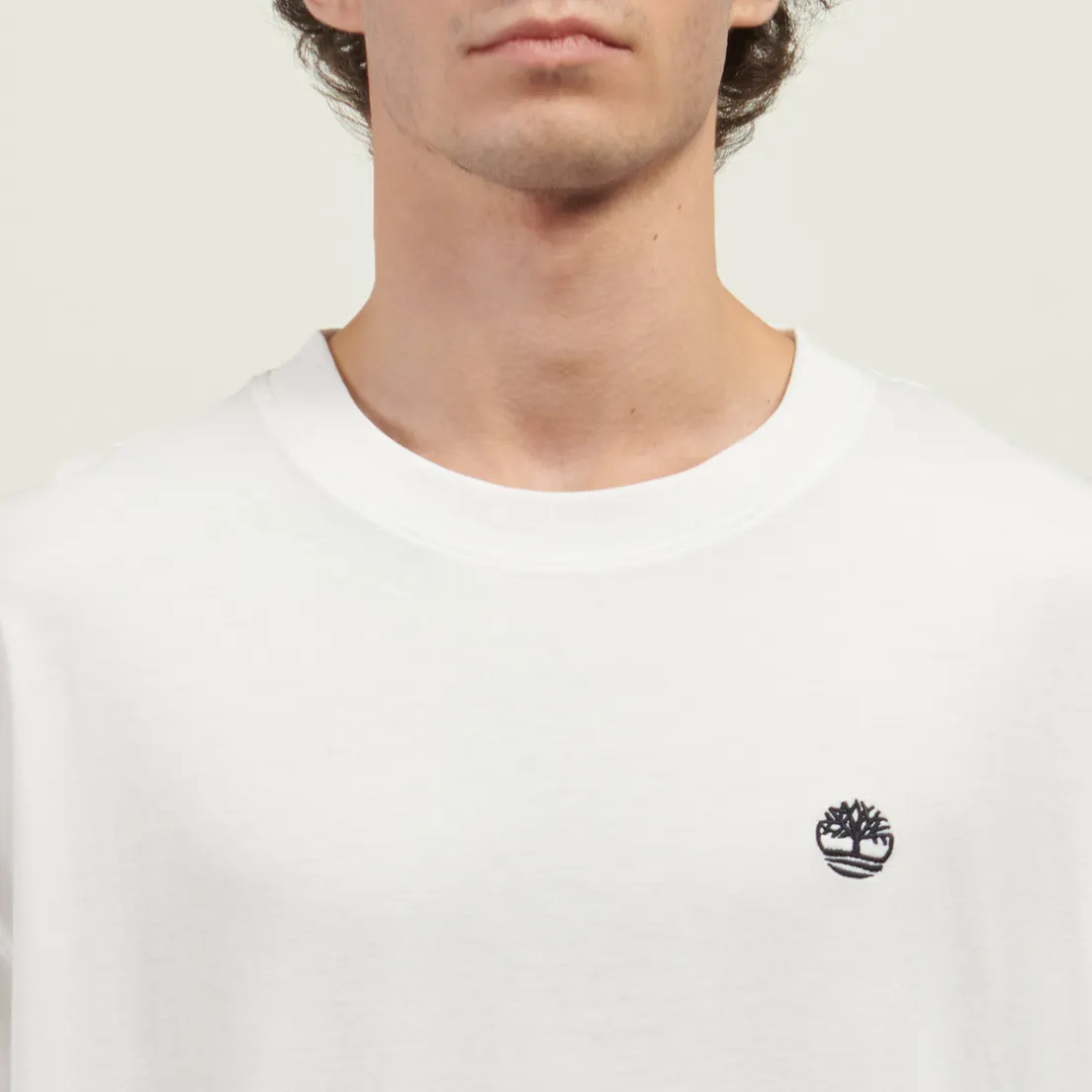 Timberland Мужская футболка Dunstan River Box