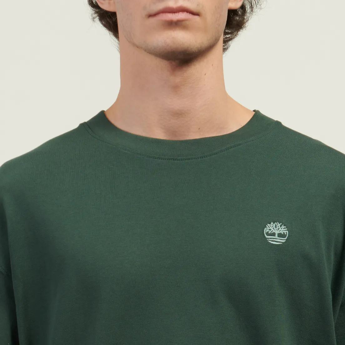 Timberland Мужская футболка Dunstan River Box