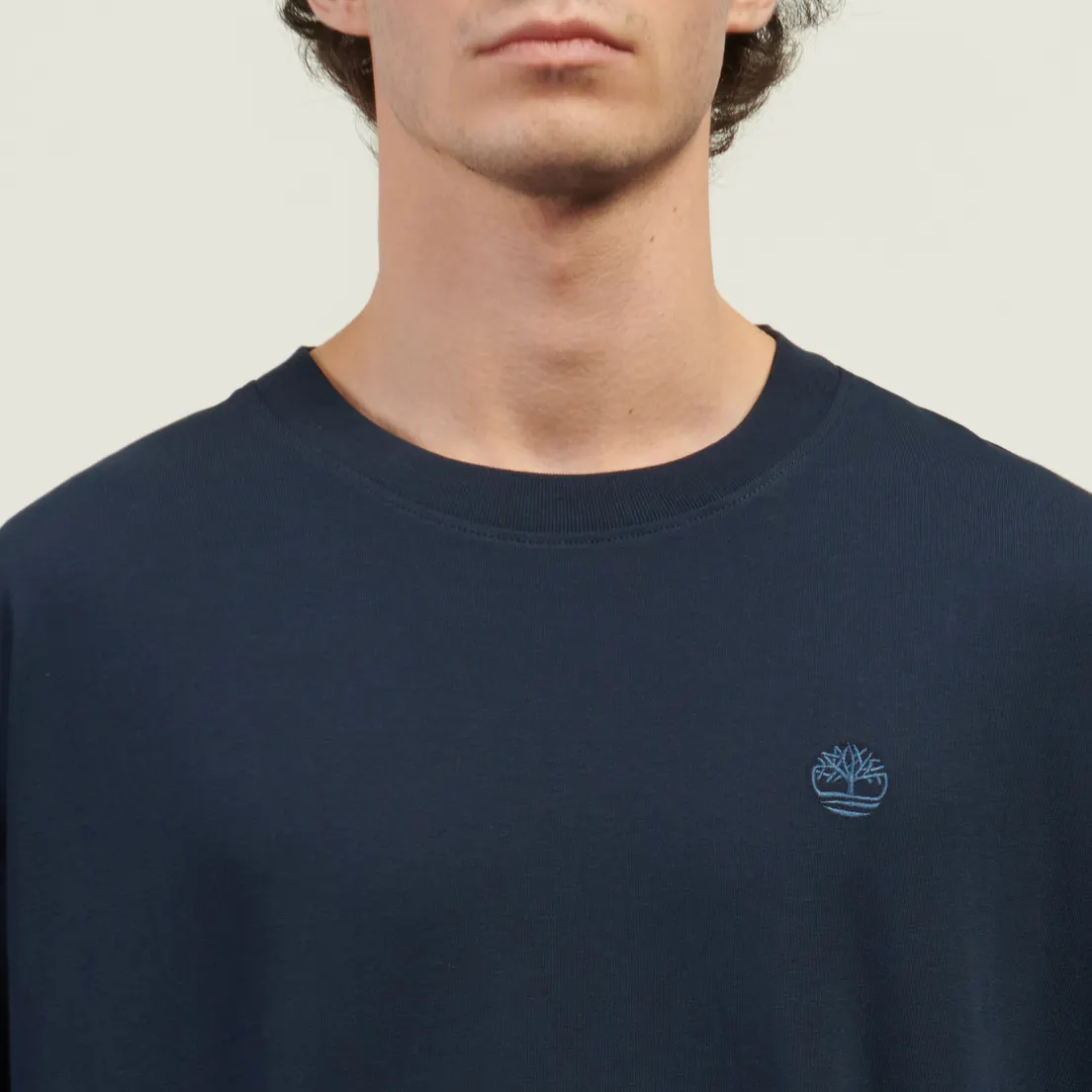 Timberland Мужская футболка Dunstan River Box