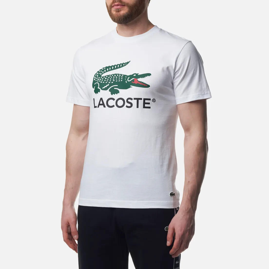 Lacoste Мужская футболка Signature Print