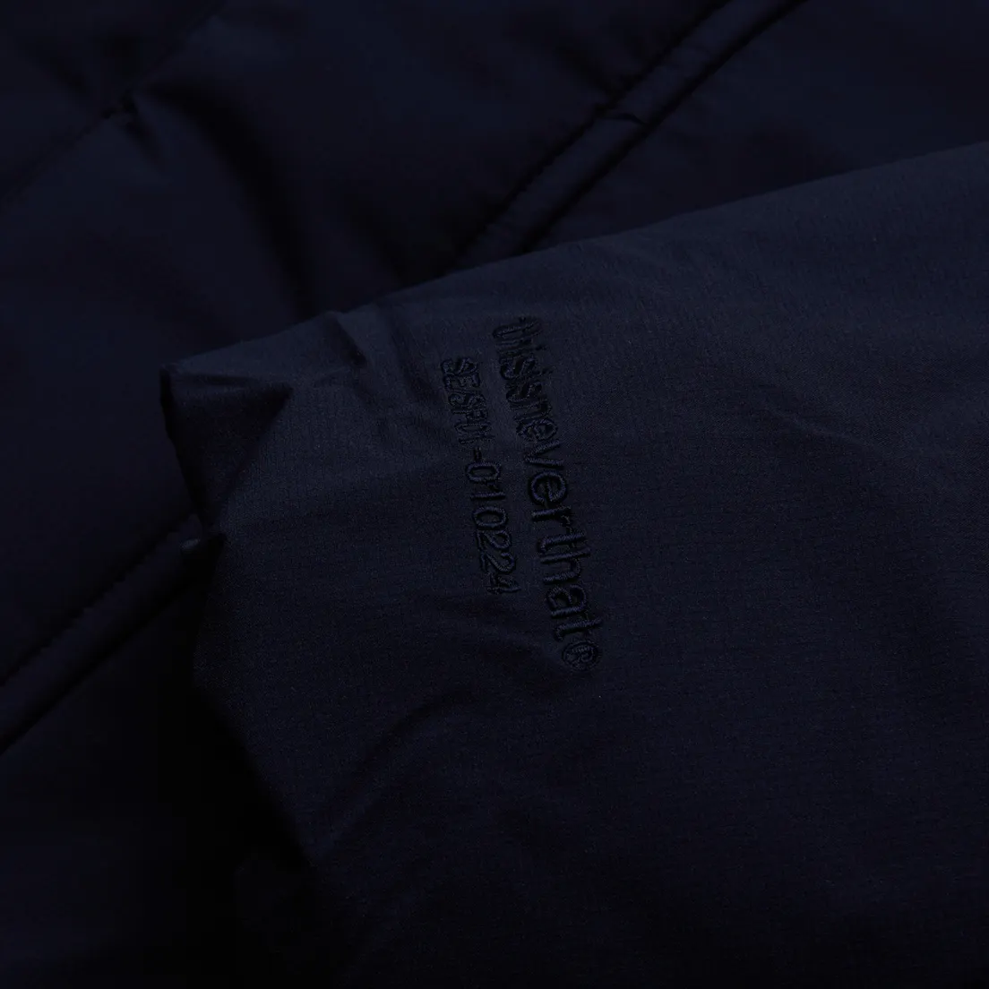 thisisneverthat Мужской пуховик Gore-Tex Infinium Down