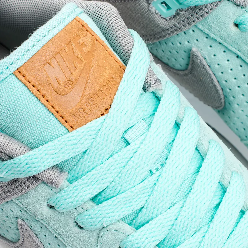 Nike Мужские кроссовки Air Pegasus 89 PRM