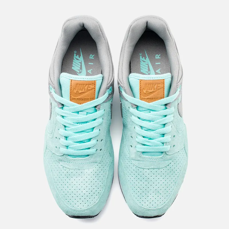 Nike Мужские кроссовки Air Pegasus 89 PRM