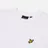 Lyle & Scott