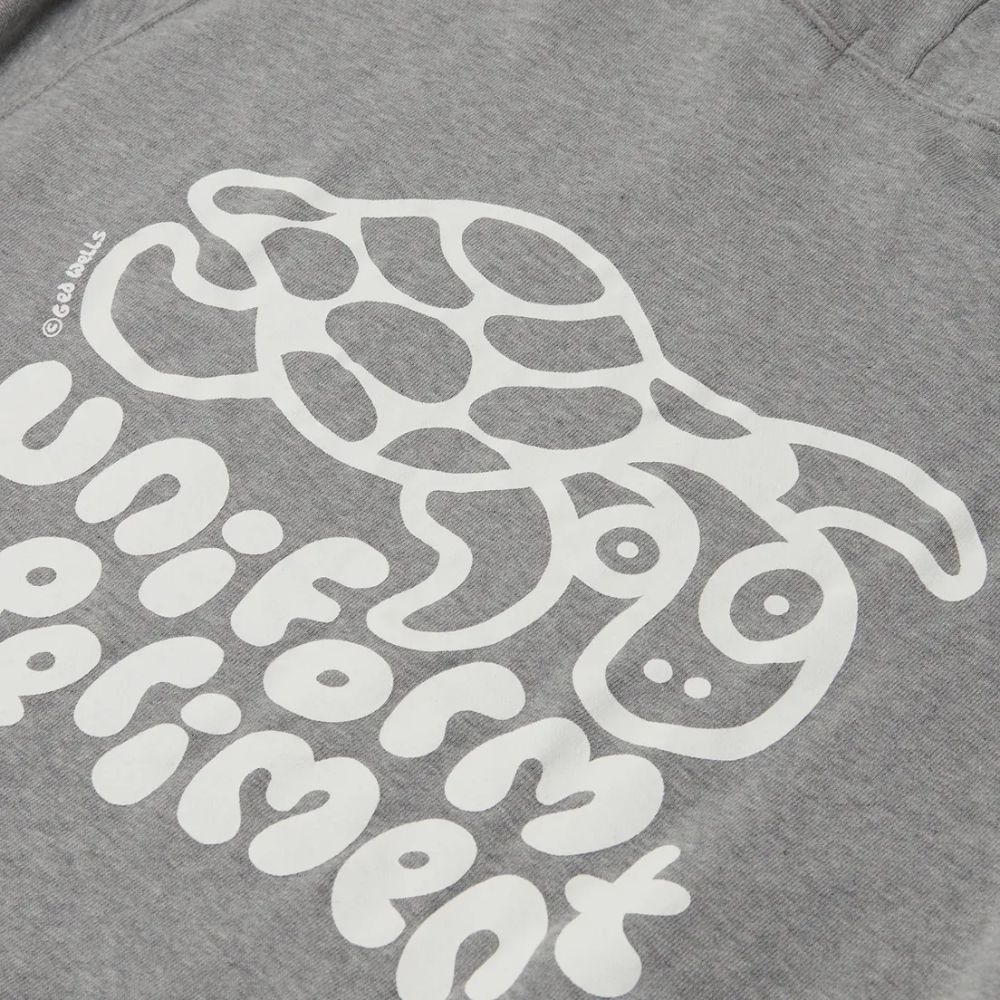 uniform experiment Мужская толстовка Insane Hoodie Turtle
