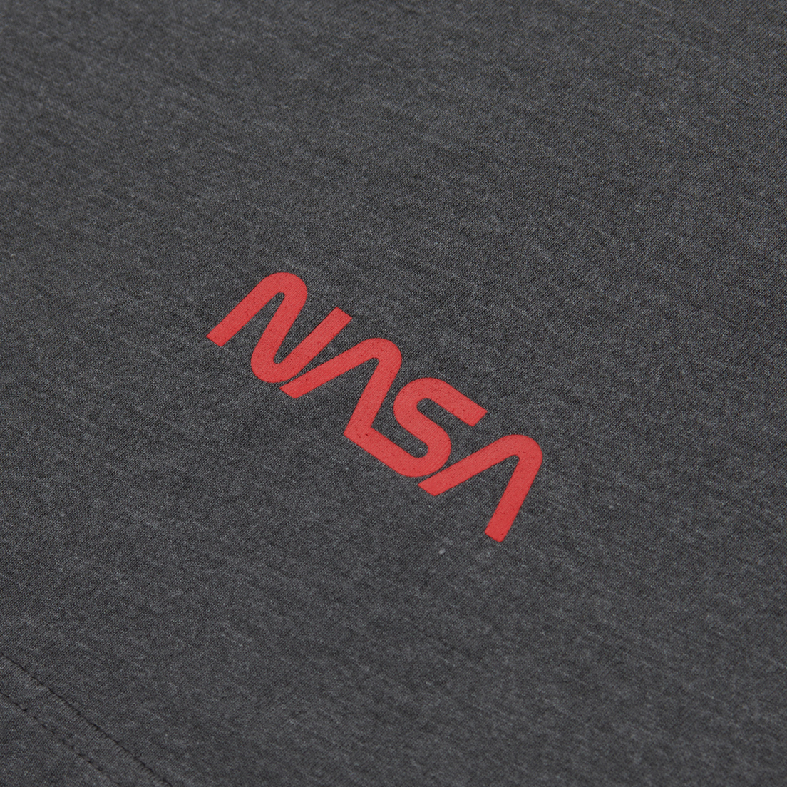 Alpha Industries Мужская футболка NASA Worm Logo